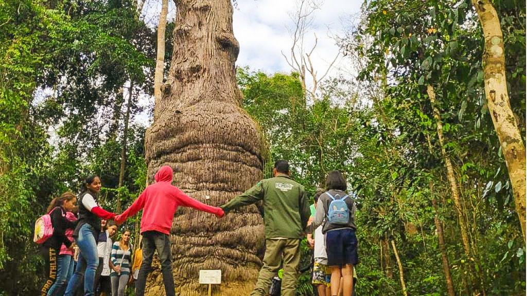 Secretaria de Meio ambiente inicia projeto ambiental com crianças e idosos