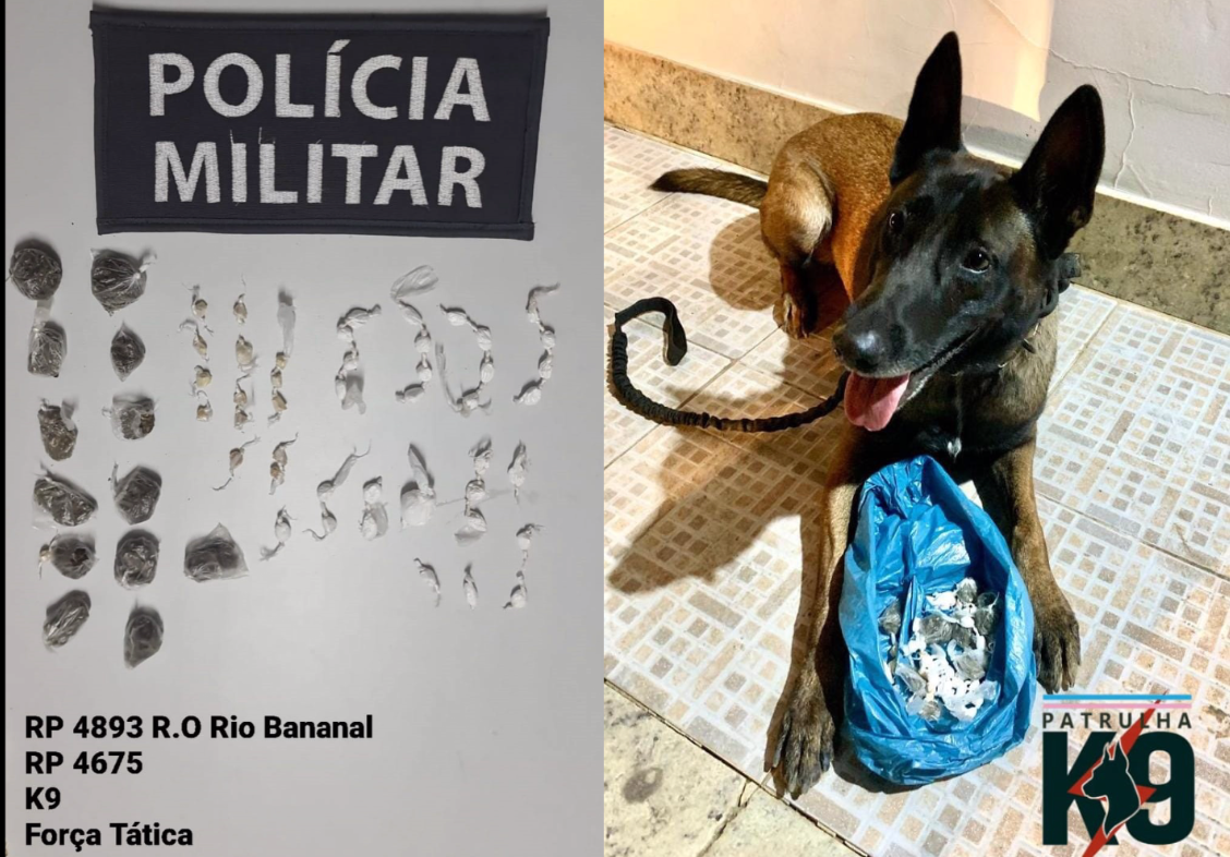 Polícia apreende drogas em estabelecimento comercial.