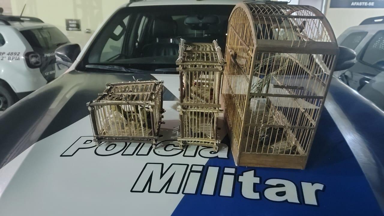 Polícia prende homem que transportava animais silvestres em Sooretama.