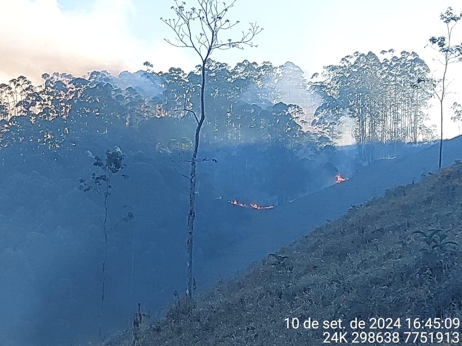 Polícia Militar Ambiental prende suspeito de provocar incêndio em Domingos Martins