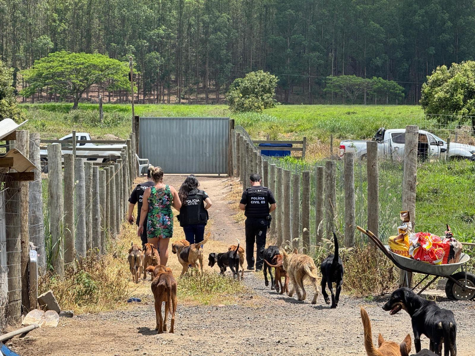 PCES prende mulher suspeita de maus-tratos a animais em Aracruz