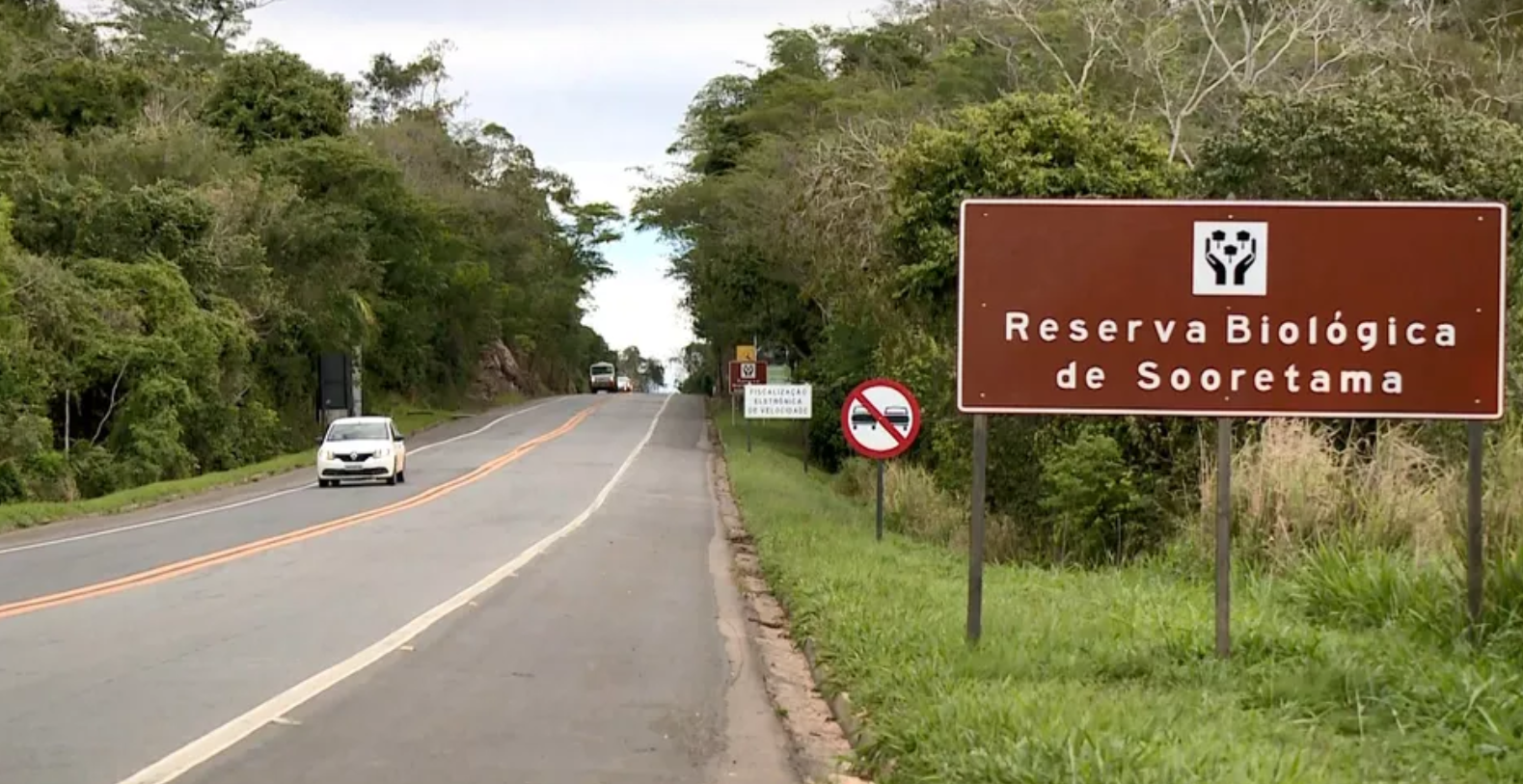 Atenção Motoristas: Já está funcionando a redução de velocidade na Reserva Biológica de Sooretama.